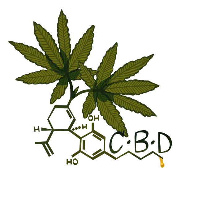 ה-CBD פועל על המערכת האנדוקנבינואידית בגוף האדם. זוהי מערכת ביולוגית מורכבת המשפיעה על מגוון תהליכים פיזיולוגייםה-CBD פועל על המערכת האנדוקנבינואידית בגוף האדם. זוהי מערכת ביולוגית מורכבת המשפיעה על מגוון תהליכים פיזיולוגיים